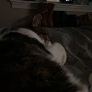 Meet your Posher, Sabrina